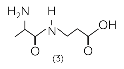 Hóa học 12, Peptide