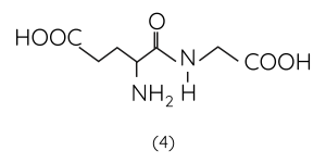 Hóa học 12, Peptide