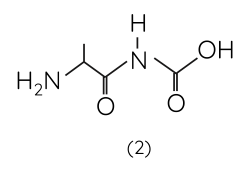 Hóa học 12, Peptide