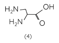 Hóa học 12, amino acid