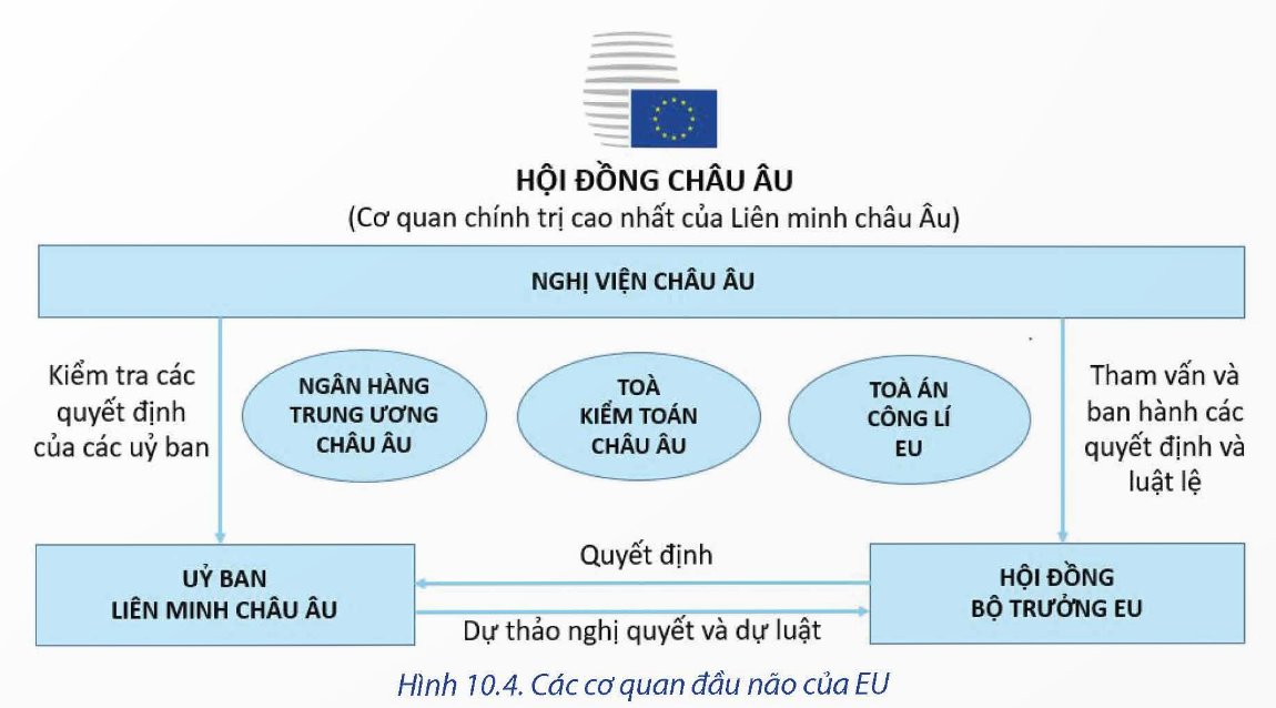 Thể chế hoạt động