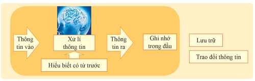 Minh họa hoạt động xử lí thông tin của con người