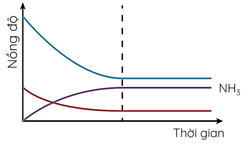 Hóa học 11, Đồ thị biểu diễn nồng độ các chất phản ứng theo thời gian