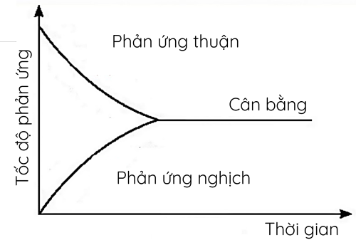 Hóa học 11, Đồ thị biểu diễn tốc độ phản ứng thuận và phản ứng nghich theo thời gian