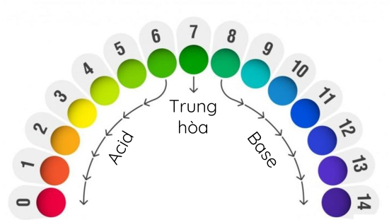 Hóa học 11, Chỉ thi quỳ tím