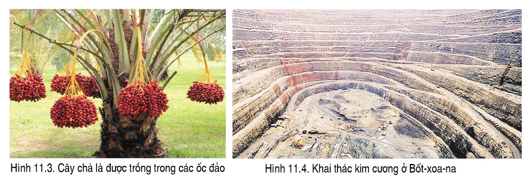 Khai thác thiên nhiên ở môi trường hoang mạc