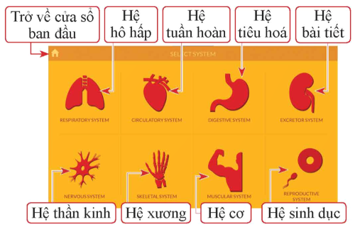 Hướng dẫn sử dụng phần mềm Anatomy (2)