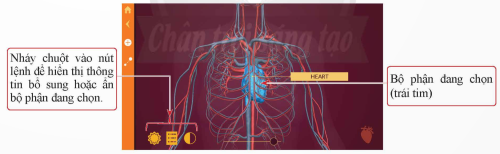 Hướng dẫn sử dụng phần mềm Anatomy (4)