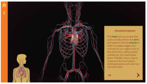 Hướng dẫn sử dụng phần mềm Anatomy (5)