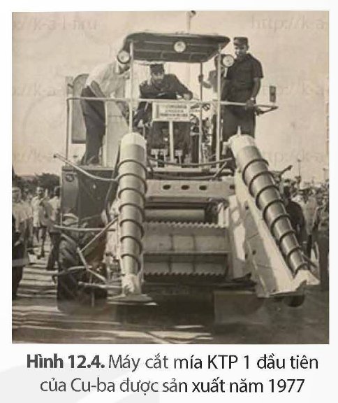 Máy cắt mía KTP 1