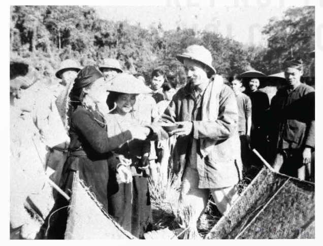 Chủ tịch Hồ Chí Minh thăm nông dân Bắc Kạn thu hoạch lúa mùa  (1950)