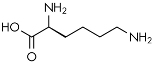 Hóa học 12, Lysine