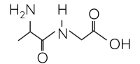 Hóa học 12, peptide