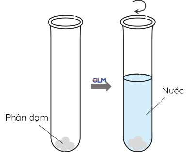 Hóa học 11, Nhận biết ion ammonium