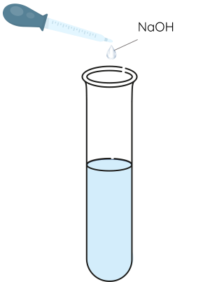 Hóa học 11, Nhận biết ion ammonium