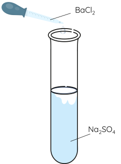 Hóa học 11, Nhận biết ion sulfate