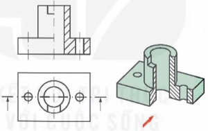 Công nghệ 10, hình cắt một nửa