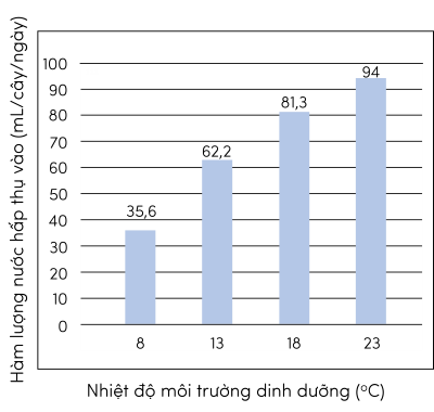 Sinh 11, ảnh hưởng của nhiệt độ đến sự hấp thụ nước của cây dâu tây