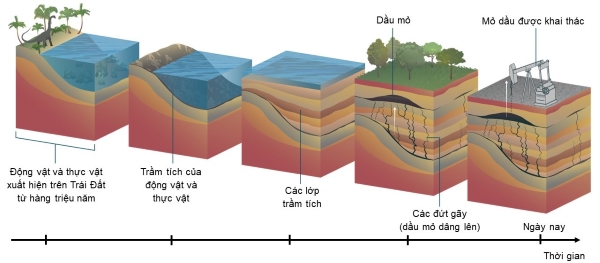 khoa học tự nhiên, lớp 9, dầu mỏ