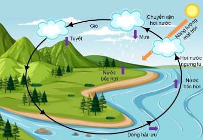 khoa học tự nhiên, lớp 9, vòng năng lượng