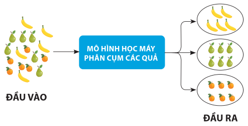 Mô hình phân cụm các quả