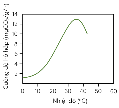 Sinh 11, đồ thị mô tả ảnh hưởng của nhiệt độ đến cường độ hô hấp ở thực vật