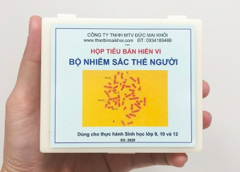 sinh học 12, bộ tiêu bản nhiễm sắc thể ở người