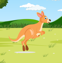 kangaroo