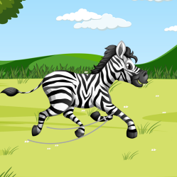 zebra