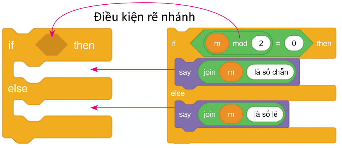 Cấu trúc tương ứng chương trình