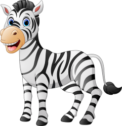 zebra