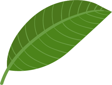 leaf olm