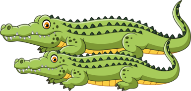 crocodiles olm