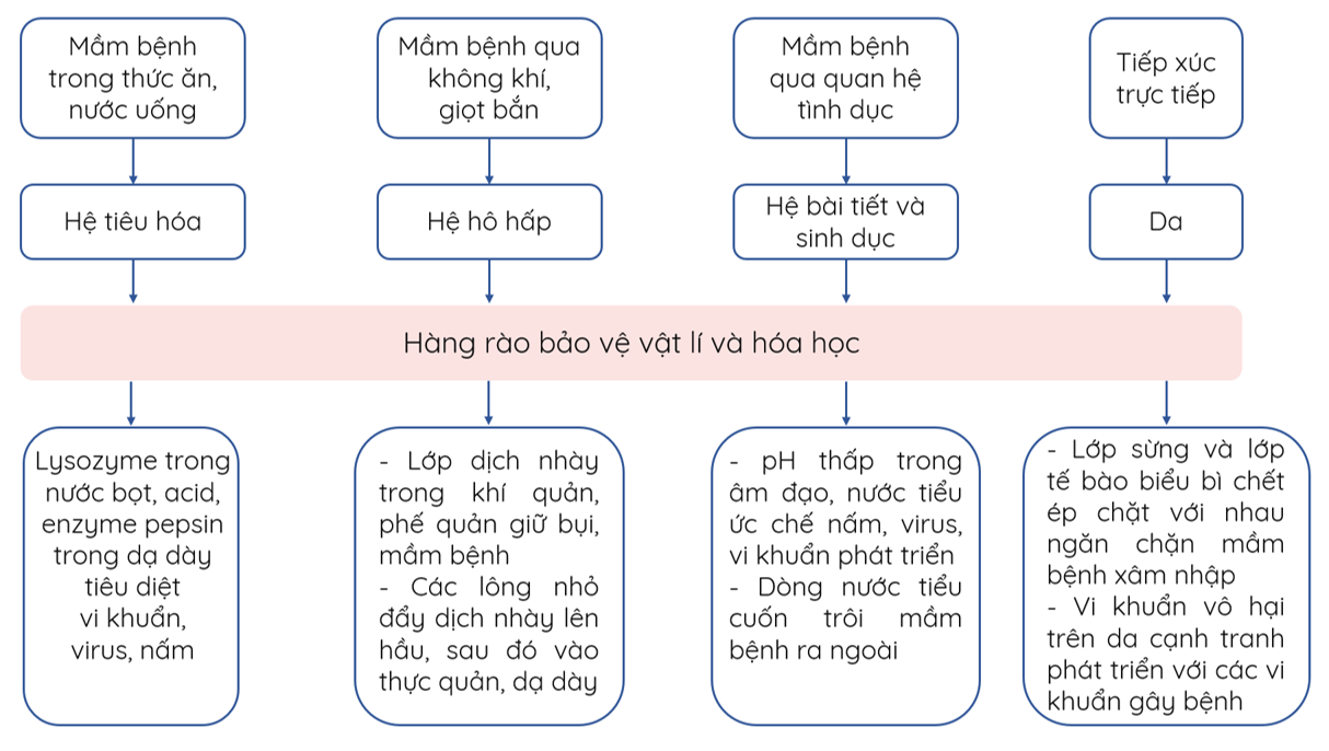 Hàng rào bảo vệ vật lí và hóa học