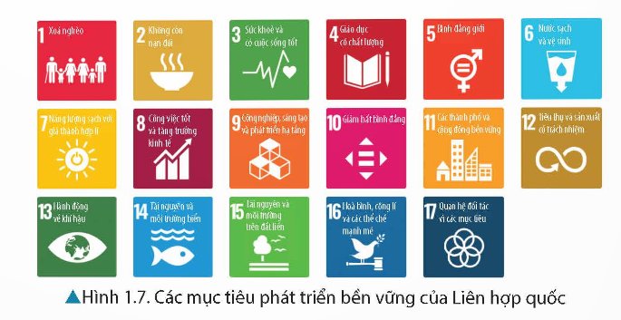 Trong lĩnh vực phát triển.