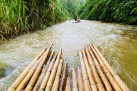 Khoa học 5, vận chuyển tre, gỗ xuôi dòng nước