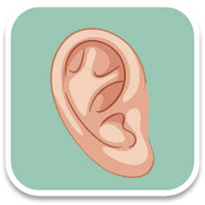 ear