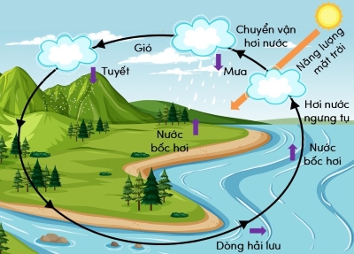 khoa học tự nhiên, lớp 9, vòng năng lượng