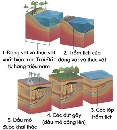 khoa học tự nhiên, lớp 9, dầu mỏ