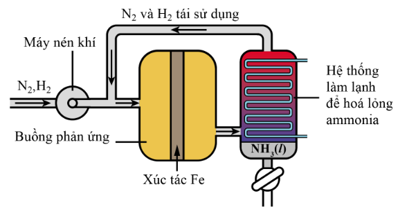 Hóa học 10, quy trình Haber - Bosch