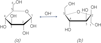 Hóa học 12, Chuyển hóa glucose và fructose