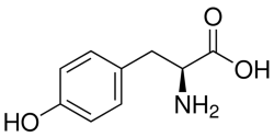 Hóa học 12, Tyrosine