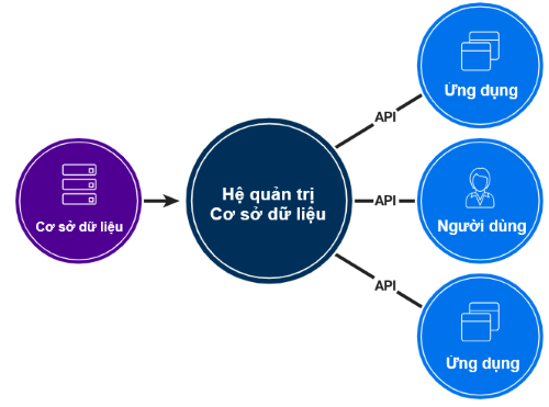 Vai trò của hệ quản trị CSDL