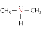 Hóa học 12, Alkylamine