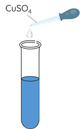 Hóa học 12, Methylamine tác dụng với Cu(OH)2