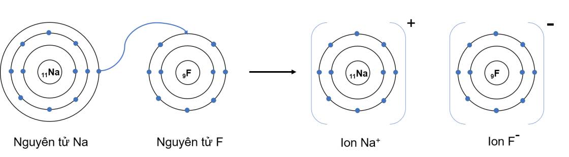 Sự hình thành ion Na+ và F-