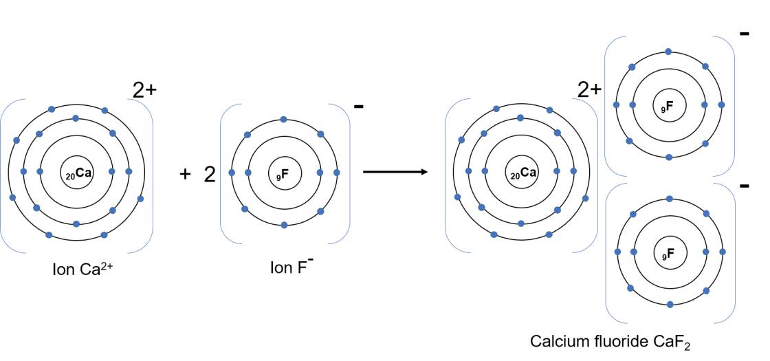  Sự tạo thành phân tử CaF2