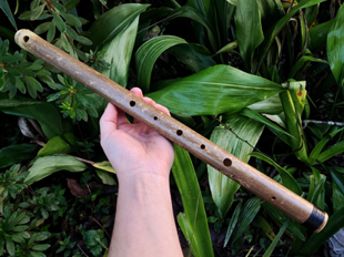 bamboo flute olm