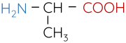 Hóa học 12, Alanine