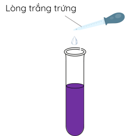 Hóa học 12, Phản ứng màu biuret của peptide